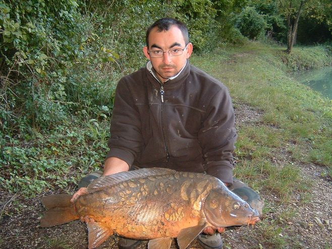 carpe jc tu dort.jpg